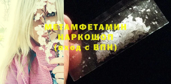 шишки Заволжье