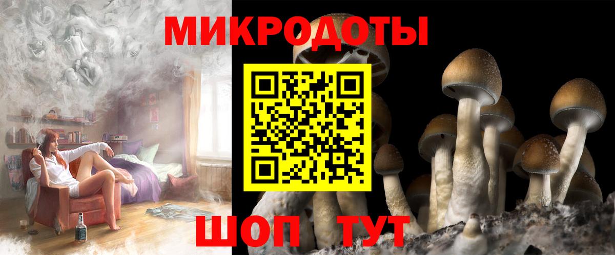 Тула  Псилоцибиновые грибы Psilocybine cubensis  Галлюциногенные грибы Cubensis  Вход с VPN 