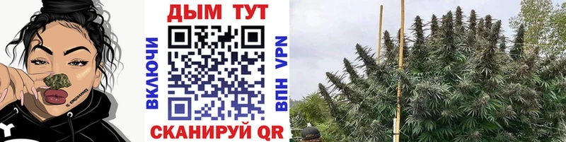 МАРИХУАНА индика  что такое наркотик  Тула 
